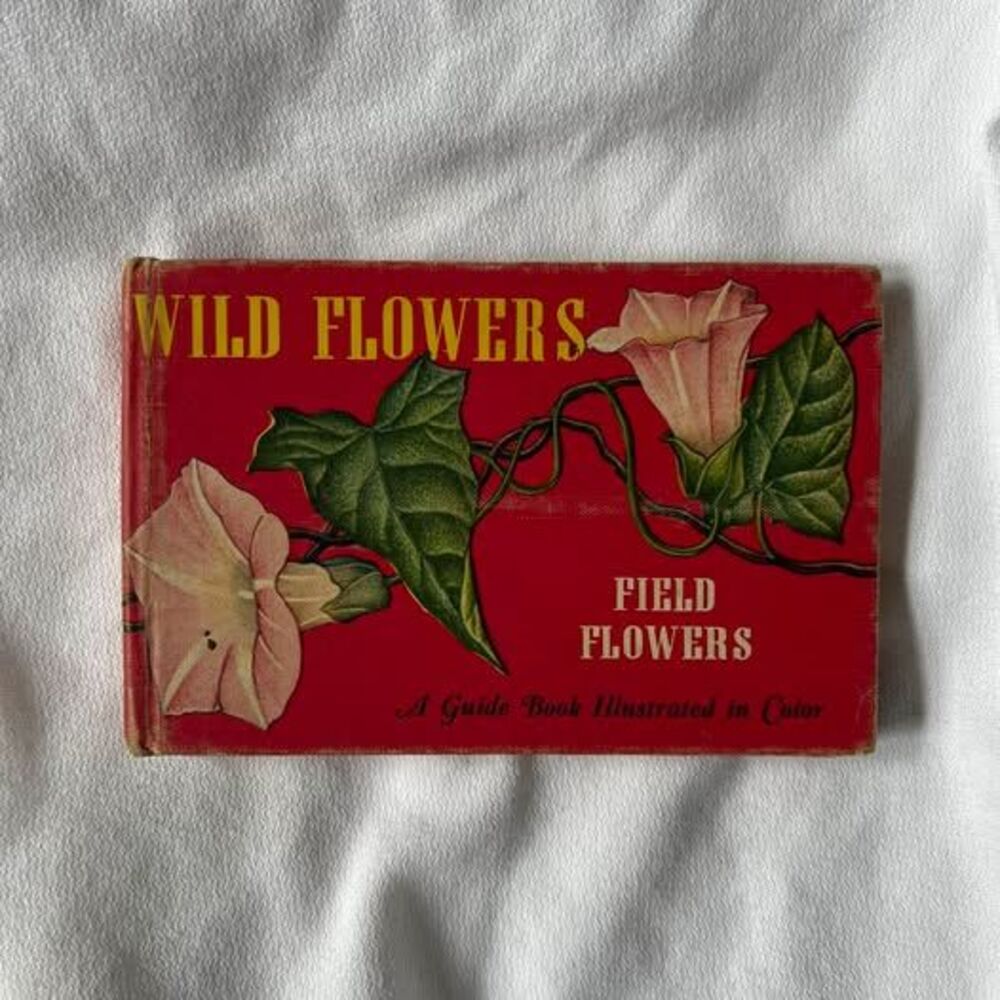 Vintage Small Hardcover: Wild Flowers, Field Flowers